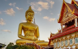 Top Itineraries